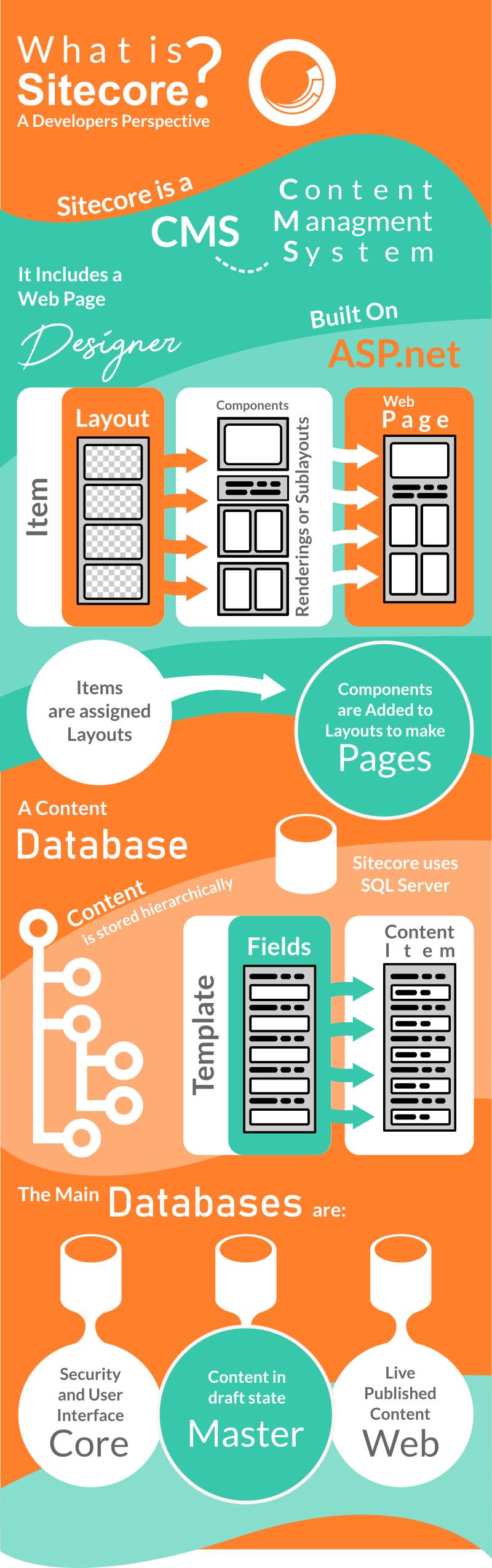 Sitecore Developer Infographic